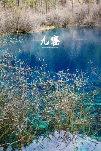 未转变者